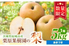 【先行予約】栗原果樹園 梨 5kg  あきづき 《9月中旬-9月下旬頃出荷予定》茨城県 結城市 なし 梨 フルーツ 旬 果物 【配送不可地域あり】