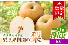 【先行予約】栗原果樹園 梨 5kg  甘太 《9月中旬-10月上旬出荷予定》茨城県 結城市 なし 梨 フルーツ 旬 果物 【配送不可地域あり】