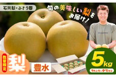 【先行予約・数量限定】梨 約5kg 豊水 石川梨・ぶどう園《9月上旬-9月中旬頃出荷》茨城県 結城市 梨 ナシ なし 果物 フルーツ 豊水 ほうすい【配送不可地域あり】（離島）