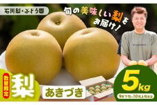 【先行予約・数量限定】梨 約5kg あきづき 石川梨・ぶどう園《9月下旬-10月上旬頃出荷》茨城県 結城市 梨 ナシ なし 果物 フルーツ あきづき【配送不可地域あり】（離島）