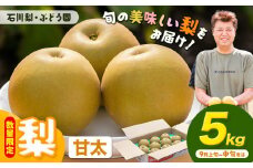 【先行予約・数量限定】梨 約5kg 甘太 石川梨・ぶどう園《9月上旬-9月中旬頃出荷》茨城県 結城市 梨 ナシ なし 果物 フルーツ 甘太 かんた【配送不可地域あり】（離島）