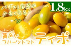 パリッと食感の黄色いフルーツトマト ティポ 1.8kg (1箱) 《10月中旬～5月末頃出荷》ジャム さっぱり 黄色い トマト 野菜 茨城県産 結城市産 国産 さっぱり 酸味が少ない 日持ち 食材 サラダ トッピング 料理