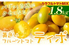 パリッと食感の黄色いフルーツトマト ティポ 900g カラフルトマト 900g 《10月中旬～5月末頃出荷》ジャム さっぱり 黄色い トマト 野菜 茨城県産 結城市産 国産 さっぱり 酸味が少ない 日持ち 食材 サラダ トッピング 料理