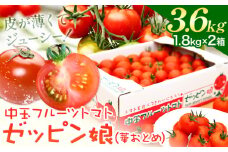 中玉フルーツトマト ゼッピン娘 1.8kg ×2箱 計3.6kg 《10月中旬～5月末頃出荷》希少な品種 華おとめ 甘い 野菜 結城市産 ゼッピン娘 華おとめ 中玉品種 皮が薄い 薄皮 サラダ 前菜 食材 料理