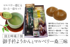 和菓子 御手杵 ようかん マルベリー「桑」三昧 富士峰菓子舗《90日以内に出荷予定(土日祝除く)》茨城県 結城市　 和菓子 スイーツ 詰め合わせ ようかん 緑茶 練りようかん 塩ようかん まんじゅう サブレ 寒天ゼリー 桑の実 ジャム 桑 茶