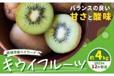 石井果樹園のキウイフルーツ【12月発送】 結城市産 ヘイワード 約4kg 出荷時期 《2025年12月上旬-12月末頃出荷》 茨城県 結城市 キウイ きうい 果物 フルーツ 新鮮 国産 ギフト 送料無料
