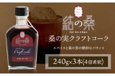 桑の実クラフトコーラ「結の桑」240g×3本 希釈用 株式会社モアビートプロモーション《30日以内に出荷予定(土日祝除く)》ベース マルベリー スパイス配合 シロップ アントシアニン 鉄分 カリウム 食物繊維