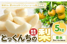 【2025年先行予約】とっくんちの梨「豊水」約5kg  《9月上旬-9月下旬頃出荷予定》 数量限定 鈴木農園 茨城県 結城市 数量限定 果物 フルーツ 甘み ジューシー 豊か 芳香 しゃりっ 爽やかな 季節【配送不可地域あり】 