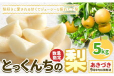 【2025年先行予約】とっくんちの梨「あきづき」約5kg 《9月中旬-9月下旬頃出荷予定》 数量限定 鈴木農園 茨城県 結城市 数量限定 果物 フルーツ 甘み ジューシー 豊か 芳香 しゃりっ 爽やかな 季節【配送不可地域あり】[№5802-0897]