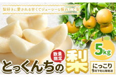 【2025年先行予約】とっくんちの梨「にっこり」約5kg 《9月下旬-10月中旬頃出荷予定》 数量限定 鈴木農園 茨城県 結城市 数量限定 果物 フルーツ 甘み ジューシー 豊か 芳香 しゃりっ 爽やかな 季節【配送不可地域あり】[№5802-0898]