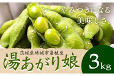 枝豆 先行予約「湯あがり娘」3kg（茶豆味）有限会社大嶋農園 《2026年7月中旬-8月上旬頃出荷》茨城県結城市産枝豆 野菜 国産 甘み 香り 濃厚 つまみ ビールのおつまみ ビールのつまみ【配送不可地域あり】