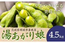 枝豆 茨城県結城市産枝豆「湯あがり娘」4.5kg（茶豆味）有限会社大嶋農園 《7月中旬-8月上旬頃出荷》 野菜 国産 甘み 香り 濃厚 つまみ ビールのおつまみ ビールのつまみ【配送不可地域あり】