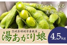 枝豆 先行予約「湯あがり娘」4.5kg（茶豆味）有限会社大嶋農園 《2026年7月中旬-8月上旬頃出荷》茨城県結城市産枝豆 野菜 国産 甘み 香り 濃厚 つまみ ビールのおつまみ ビールのつまみ【配送不可地域あり】