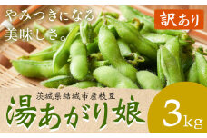 【訳あり】 茨城県結城市産枝豆「湯あがり娘」3kg（茶豆味）　有限会社大嶋農園 《7月中旬-8月上旬頃出荷》 野菜 国産 甘み 香り 濃厚 つまみ ビールのおつまみ ビールのつまみ 【配送不可地域あり】