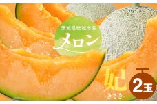 【令和7年先行予約】 茨城県結城市産 メロン 妃 2玉 稲葉ファーム《9月下旬-10月中旬頃出荷予定》茨城県 結城市 送料無料 フルーツ 果物 高級メロン お取り寄せ 旬 産地直送 贈り物 お取り寄せフルーツ