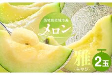 【令和7年先行予約】 茨城県結城市産 メロン 雅 2玉 稲葉ファーム《9月下旬-10月中旬頃出荷予定》茨城県 結城市 送料無料 フルーツ 果物 高級メロン お取り寄せ 旬 産地直送 贈り物 お取り寄せフルーツ