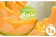 【令和7年先行予約】 茨城県結城市産 メロン 妃 1玉 稲葉ファーム《9月下旬-10月中旬頃出荷予定》茨城県 結城市 送料無料 フルーツ 果物 高級メロン お取り寄せ 旬 産地直送 贈り物 お取り寄せフルーツ