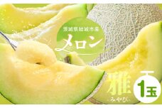 【令和7年先行予約】 茨城県結城市産 メロン 雅 1玉 稲葉ファーム《9月下旬-10月中旬頃出荷予定》茨城県 結城市 送料無料 フルーツ 果物 高級メロン お取り寄せ 旬 産地直送 贈り物 お取り寄せフルーツ