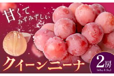 クイーンニーナ 2房 約1.0～1.2kg 葡萄 ブドウ ぶどう 赤ぶどう 大粒 種なし フルーツ 果物 産地直送 新鮮 ジューシー お取り寄せ 国産 茨城県 結城市 《8月下旬-9月下旬頃出荷》會澤ぶどう・キウイフルーツ園 【配送不可地域あり】(離島)