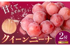 贈答用 クイーンニーナ 2房 約1.0～1.2kg 葡萄 ブドウ ぶどう 赤ぶどう 大粒 種なし フルーツ 果物 産地直送 新鮮 ジューシー お取り寄せ 国産 茨城県 結城市《8月下旬-9月下旬頃出荷》會澤ぶどう・キウイフルーツ園 【配送不可地域あり】(離島)