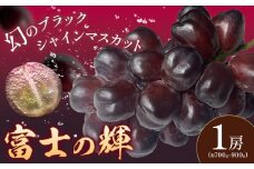 ぶどう 富士の輝 1房 約700～900g 葡萄 ブドウ ぶどう 大粒 種なし ブラック シャインマスカット 皮ごと フルーツ 果物 産地直送 新鮮 お取り寄せ ギフト 国産 季節限定 茨城県 結城市 《8月下旬-9月下旬頃出荷》 會澤ぶどう・キウイフルーツ園 【配送不可地域あり】(離島)