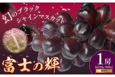ぶどう 贈答用 富士の輝 1房 約700～900g 葡萄 ブドウ ぶどう 大粒 種なし ブラック シャインマスカット 皮ごと フルーツ 果物 産地直送 新鮮 お取り寄せ ギフト 国産 季節限定 茨城県 結城市《8月下旬-9月下旬頃出荷》會澤ぶどう・キウイフルーツ園 【配送不可地域あり】(離島)