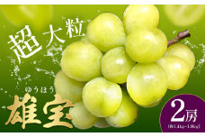 ぶどう 雄宝 2房 約1.4～1.8kg 葡萄 ブドウ ぶどう 大粒 種なし 皮ごと フルーツ 果物 産地直送 新鮮 ジューシー お取り寄せ ギフト 国産 季節限定 茨城県 結城市 《8月下旬-9月下旬頃出荷》會澤ぶどう・キウイフルーツ園 【配送不可地域あり】(離島)