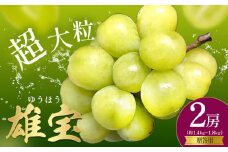ぶどう 贈答用 雄宝 2房 約1.4～1.8kg 葡萄 ブドウ ぶどう 大粒 種なし フルーツ 果物 産地直送 新鮮 お取り寄せ ギフト 国産 季節限定 茨城県 結城市《8月下旬-9月下旬頃出荷》 會澤ぶどう・キウイフルーツ園 【配送不可地域あり】(離島)