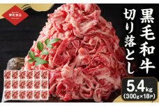 黒毛和牛 牛肉 切り落とし 5.4kg 茨城県 結城市 東和食品《30日以内に出荷予定(土日祝除く) 》お肉 肉 牛肉 和牛 牛 切り落とし 薄切り ロース バラ 精肉 国産 国産牛 高級 すき焼き 牛丼 肉じゃが 焼肉 バーベキュー BBQ 冷凍