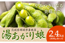 枝豆 茨城県結城市産「湯あがり娘」2.4kg（300g×8パック）（茶豆味）有限会社大嶋農園 《7月中旬-8月上旬頃出荷》 野菜 国産 甘み 香り 濃厚 つまみ ビールのおつまみ ビールのつまみ【配送不可地域あり】