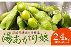 枝豆 先行予約「湯あがり娘」2.4kg（300g×8パック）（茶豆味）有限会社大嶋農園 《2026年7月中旬-8月上旬頃出荷》 茨城県結城市産 野菜 国産 甘み 香り 濃厚 つまみ ビールのおつまみ ビールのつまみ【配送不可地域あり】