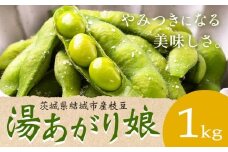 枝豆 茨城県結城市産枝豆「湯あがり娘」1kg（茶豆味）有限会社大嶋農園 《7月中旬-8月上旬頃出荷》 野菜 国産 甘み 香り 濃厚 つまみ ビールのおつまみ ビールのつまみ【配送不可地域あり】