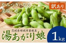 【訳あり】 枝豆「湯あがり娘」1kg（茶豆味）　先行予約 有限会社大嶋農園 《2026年7月中旬-8月上旬頃出荷》 茨城県結城市産 野菜 国産 甘み 香り 濃厚 つまみ ビールのおつまみ ビールのつまみ 【配送不可地域あり】