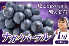 ぶどう ナガノパープル 1房 450g 株式会社ヤマナカ《8月中旬-9月下旬頃出荷》茨城県 結城市 アッシーリス 種なしぶどう たねなし 皮ごと食べられる フルーツ 旬 果物 冷蔵便 送料無料