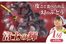 ぶどう 富士の輝 1房 500g 株式会社ヤマナカ《8月中旬-9月下旬頃出荷》茨城県 結城市 アッシーリス フルーツ 旬 種なしぶどう たねなし 皮ごと食べられる シャインマスカット 果物 冷蔵便 送料無料 ブラックシャインマスカット