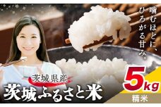 米 茨城 ふるさと米 精米 5kg 5kg×1袋《9月中旬-10月末頃出荷》茨城県 結城市 米 国産 お米 おこめ お弁当 おにぎり【茨城県共通返礼品】