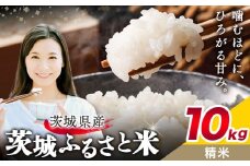 米 茨城 ふるさと米 精米 10kg 5kg×2袋《9月中旬-10月末頃出荷》茨城県 結城市 米 国産 お米 おこめ お弁当 おにぎり【茨城県共通返礼品】