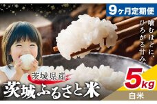 米 茨城 ふるさと米 白米 5kg 5kg×1袋 9回お届け 定期便《お申し込み月の翌々月から出荷開始》茨城県 結城市 米 国産 お米 おこめ お弁当 おにぎり【茨城県共通返礼品】