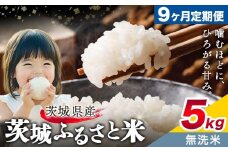米 茨城 ふるさと米 無洗米 5kg 5kg×1袋 9回お届け 定期便《お申し込み月の翌々月から出荷開始》茨城県 結城市 米 国産 お米 おこめ お弁当 おにぎり【茨城県共通返礼品】