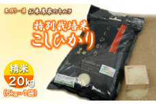 ＜令和5年産＞特別栽培米こしひかり(精米20kg) | お米 ごはん 米 白米 ご飯 コシヒカリ 稲作一筋 農薬を抑えた特別栽培  特別栽培認証 厳選米 人気 茨城県産 龍ヶ崎市産 農家直送 産地直送 精米 国産 ブランド米 おすすめ 甘みが強い ふっくら 艶やか 茨城県 龍ケ崎市