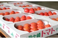茨城県銘柄産地指定「龍ケ崎トマト」(約4kg・18玉～20玉)【トマト とまと ファーストトマト 希少価値 エコファーマー認定 産地直送 野菜 フルーツ リコピン サラダ イタリアン 健康 美容 新鮮 果肉たっぷり 茨城県産 龍ヶ崎市産 美味しい 甘みと酸味のバランス 人気】