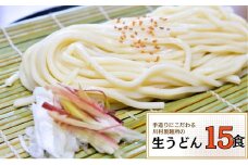 龍ケ崎名物 手造りの生うどん[(麺150g×3食・つゆ1パック)×5袋] | うどん ウドン 生麺 生うどん 麺 麺類 惣菜 和食 おかず 簡単 料理 グルメ お取り寄せ お取り寄せグルメ 名物 つゆ付き 手作り もっちり 中太麺 人気 手軽 茨城県 龍ケ崎市