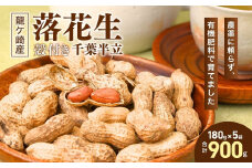 龍ケ崎産 殻付き落花生 千葉半立ち900g(180g×5袋) | 落花生 ピーナッツ ピーナツ ナッツ 国産 殻付き カラスニメカクシ おやつ お菓子 おつまみ お取り寄せ ヘルシー 健康  国産 茨城 特産品 農園 自家栽培 ビールのお供 野菜 豆 農家直送 お土産 贈り物 ギフト プチギフト 茨城県 龍ケ崎市
