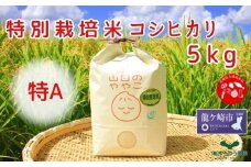 令和6年産『山田のややこ』特別栽培米コシヒカリ 精米 5kg＜茨城県共通返礼品・河内町産＞ | 令和6年産 新米 食味 特A お米 ごはん 米 白米 ご飯 コシヒカリ JGAP認証 自然堆肥 特別栽培米 厳選米 人気 農家直送 産地直送 精米 おすすめ もっちり 冷めてもおいしい おにぎり お弁当 茨城県 龍ケ崎市