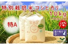 令和6年産『山田のややこ』特別栽培米コシヒカリ 精米 10kg＜茨城県共通返礼品・河内町産＞ | 令和6年産 新米 食味 特A お米 ごはん 米 白米 ご飯 コシヒカリ JGAP認証 自然堆肥 特別栽培米 厳選米 人気 農家直送 産地直送 精米 おすすめ もっちり 冷めてもおいしい おにぎり お弁当 茨城県 龍ケ崎市