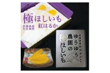 ゆうゆう農園の極ほしいも600g | スイーツ ダイエット 小分け ギフト プレゼント 国産 無添加 茨城県産 熟成紅はるか さつまいも サツマイモ お芋 おいも おやつ お菓子 和菓子 和スイーツ お取り寄せ ほしいも ほし芋 茨城県 龍ケ崎市