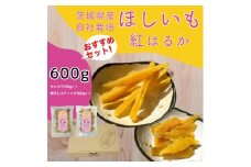 紅はるか 干し芋 600g 山田のややこ -おいものこ- おススメセット | 干し芋紅はるか 干しいも ほし芋 平干し さつまいも サツマイモ お芋 おいも スイーツ ダイエット 小分け ギフト プレゼント 国産 無添加 茨城県産  おやつ お菓子 和菓子 和スイーツ お取り寄せ 茨城県 龍ケ崎市