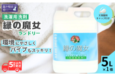 液体洗剤 緑の魔女 ランドリー 5L (5L×1本) |  液体洗剤 洗濯洗剤 洗濯液体洗剤 液体洗濯洗剤 衣類用洗剤 パイプ パイプクリーナー 排水口 環境配慮 植物由来 天然素材 ヤシ油 エコ 環境にやさしい 油汚れ 皮脂 皮脂汚れ 詰替え つめかえ 詰め替え大容量 大容量用キャップ付き 除菌 防臭 お歳暮 ギフト 洗浄力 茨城県 龍ケ崎市