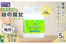 ＜毎月定期便(全12回)＞緑の魔女キッチン5L×1本 環境配慮型洗剤 | 洗剤 環境 エコ やさしい 手肌 優しい 弱酸性 パイプクリーナー 詰まり 臭い キッチン 台所洗剤 植物由来 キッチン洗剤 液体洗剤 安心 お中元 お歳暮 ギフト 大掃除 茨城県 龍ケ崎市