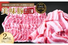 茨城県産のお米を食べて育った常陽さん家の美味豚(SPF豚)ロース＆バラ肉セット 焼肉用 2kg  | 国産 ロース ロース肉 豚ロース 豚バラ バラ 豚バラ肉 豚 SPF SPF豚 豚肉 焼肉 セット バーベキュー しゃぶしゃぶ 肉 にく 肉類 ポーク こだわり やわらか お米育ち 安心 安全 人気 お取り寄せグルメ お取り寄せ グルメ おすすめ 茨城県 龍ケ崎市